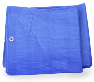 blue tarp picture